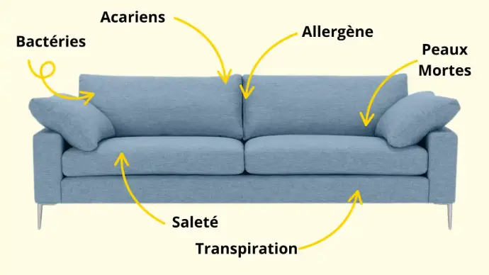 Illustration d’un canapé bleu foncé avec flèches indiquant bactéries, acariens, poussières et allergènes incrustés dans le tissu. Visuel éducatif pour sensibiliser au nettoyage de canapé en Île-de-France.